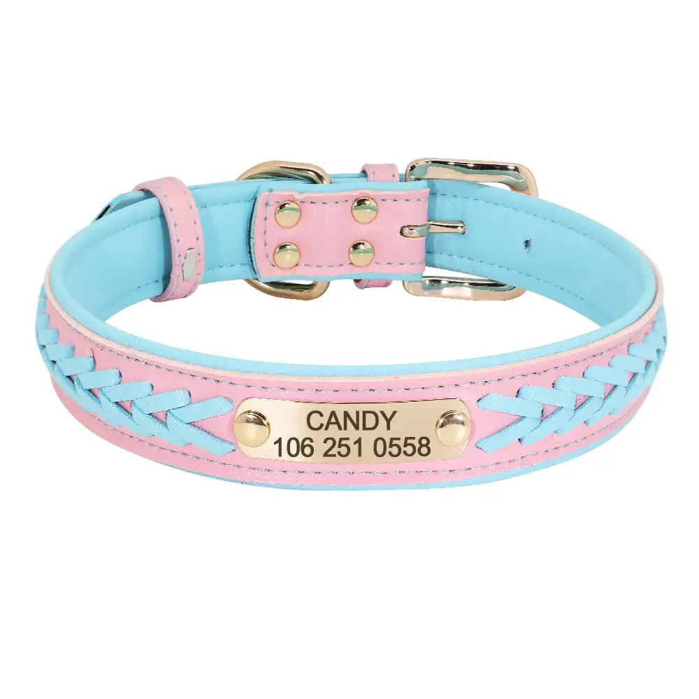 Pastel blue and pink leather dog collar with a personalized name tag.