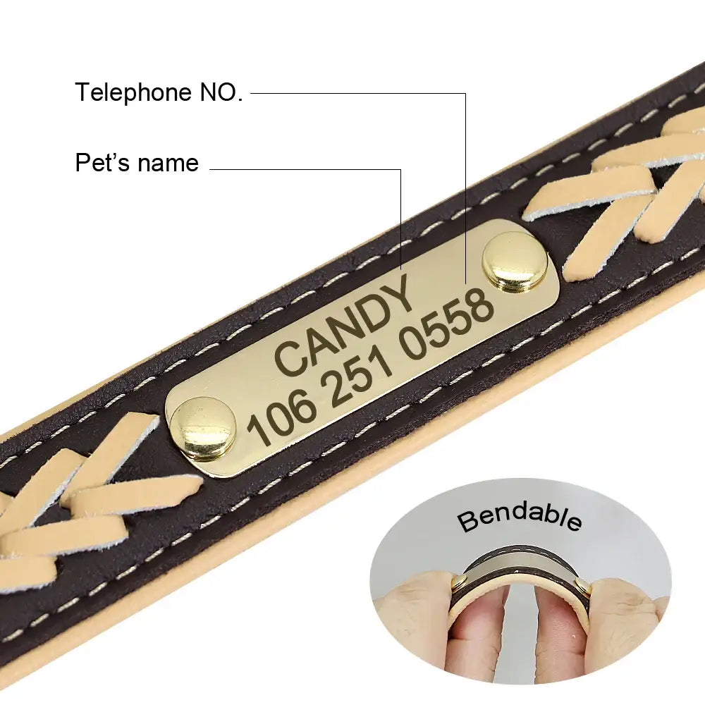 Personalized leather dog collar with engraved metal nameplate and decorative stitching.