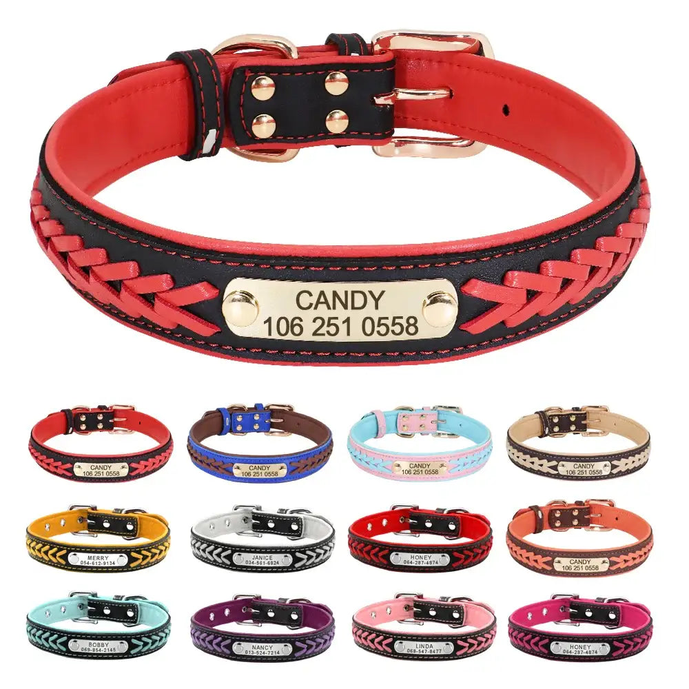 Personalized leather dog collar with braided accents and a metal nameplate.