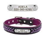 Personalized Leather Dog Collar Set - Vignette | DoggyElite