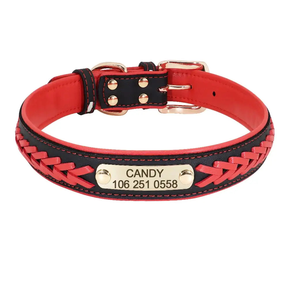 Red and black leather dog collar with a personalized metal nameplate.