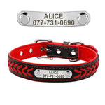 Personalized Leather Dog Collar Set - Vignette | DoggyElite