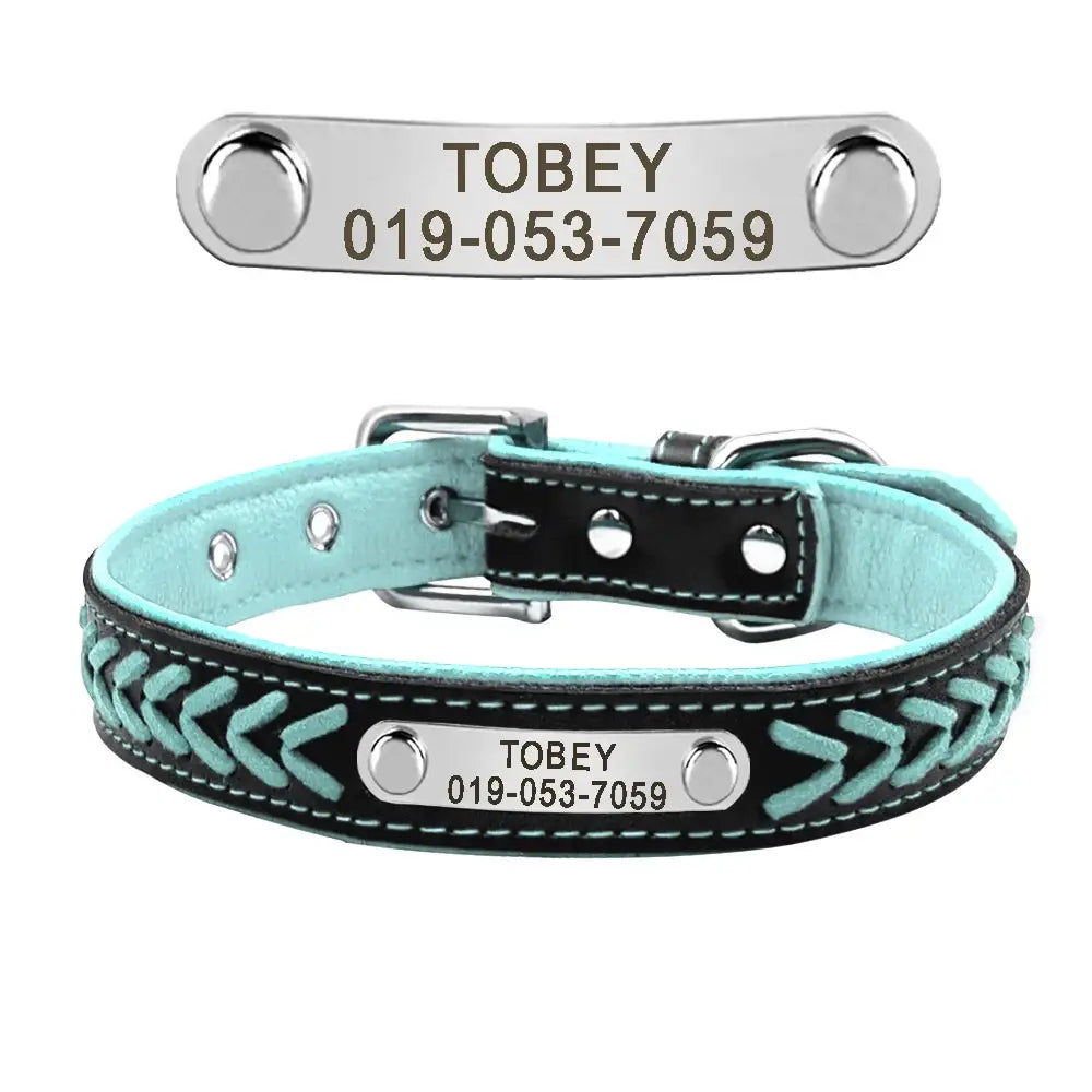 Turquoise and black leather dog collar with a personalized metal nameplate.