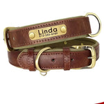 Personalized Leather Dog Collar with Bella Nameplate - Vignette | DoggyElite