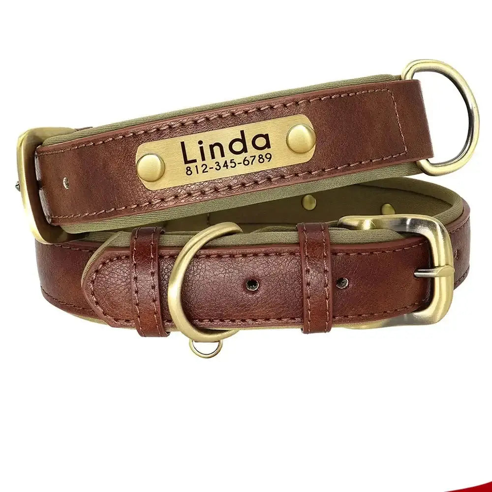 Brown leather dog collar with a personalized brass nameplate.