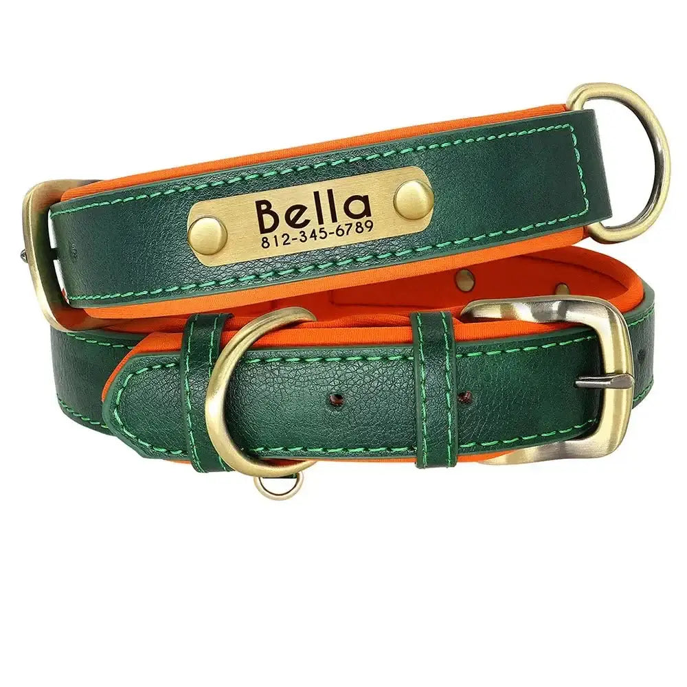 Green leather dog collar with an orange lining and a personalized nameplate reading ’Bella’.