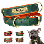 Personalized Leather Dog Collar with Bella Nameplate - Vignette | DoggyElite