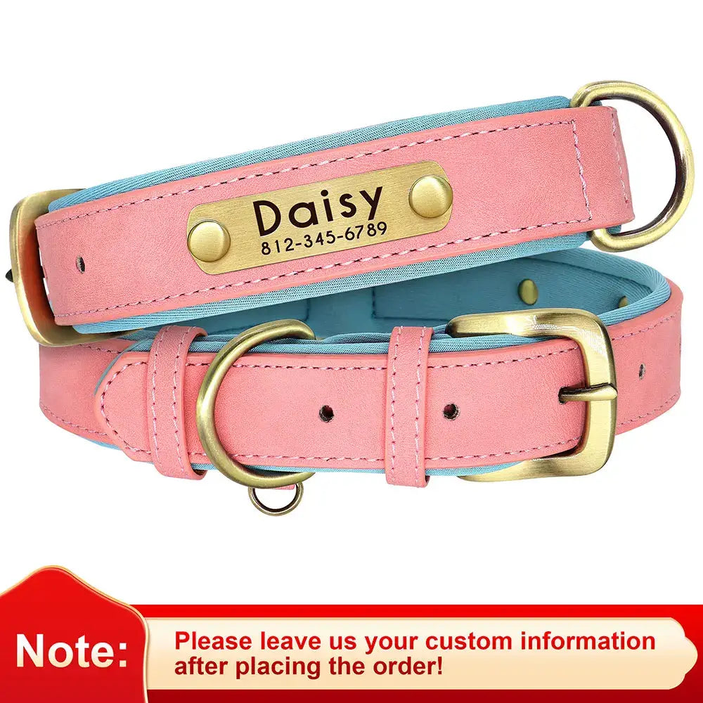 Pink leather dog collar with a personalized nameplate and blue inner lining.