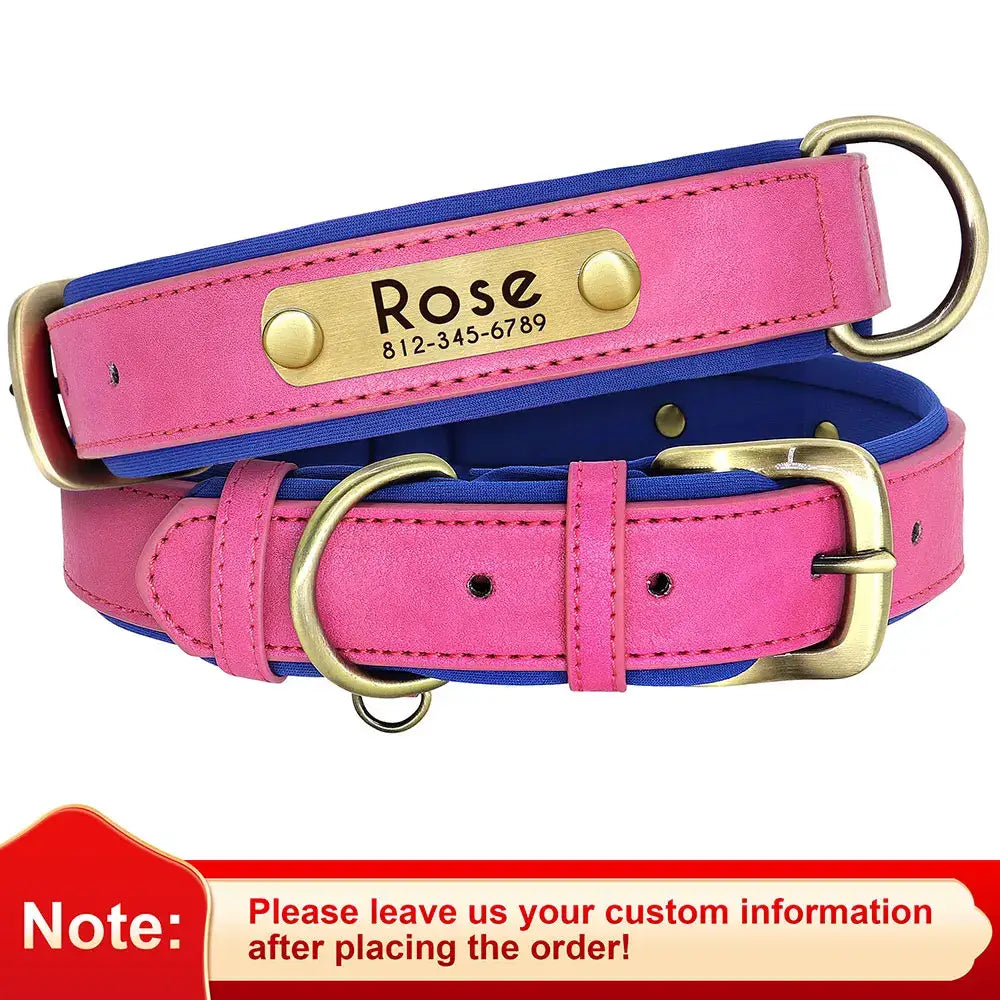 Pink leather dog collar with a personalized nameplate and blue inner lining.