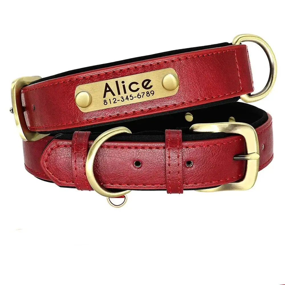 Red leather dog collar with a personalized nameplate and brass hardware.