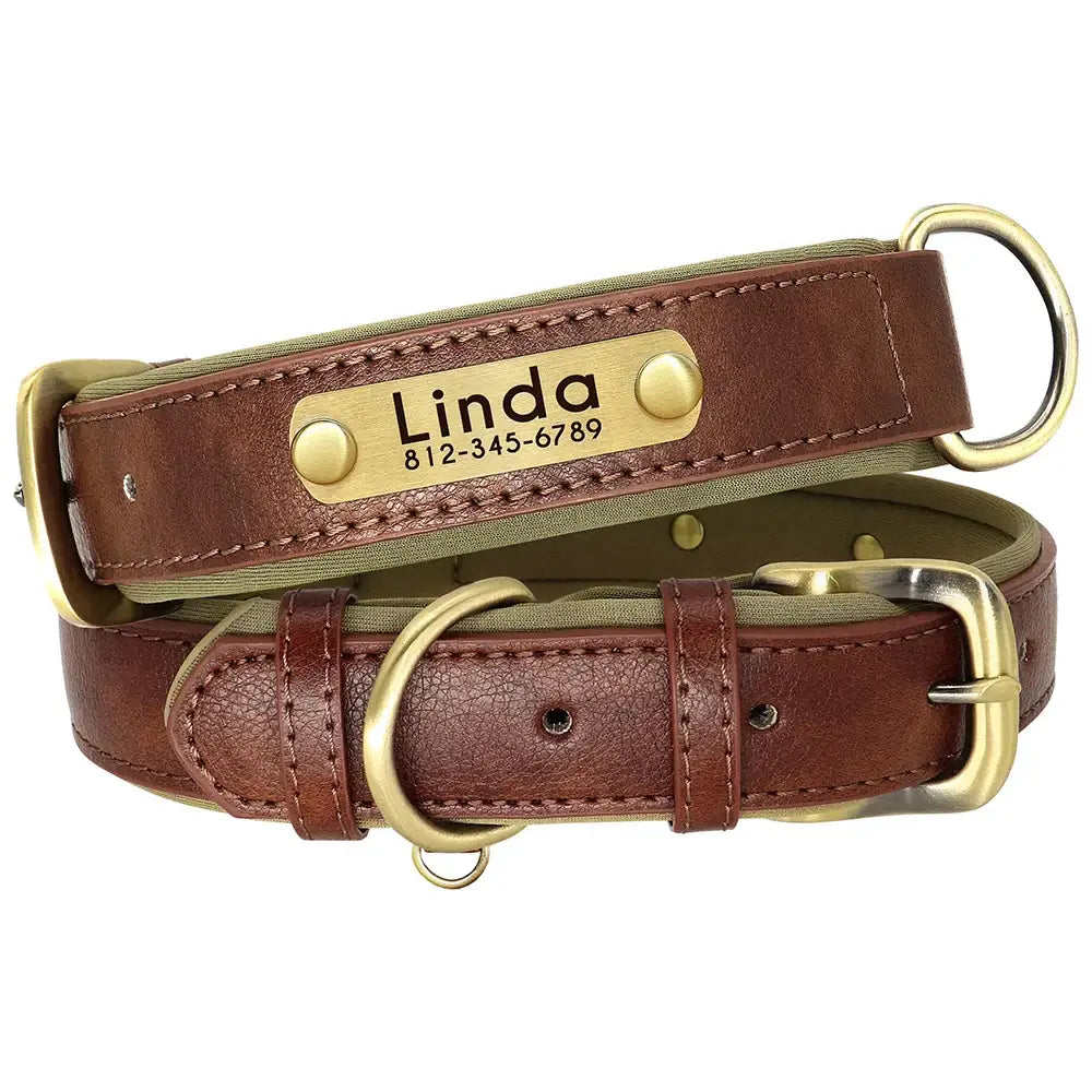 Brown leather dog collar with a personalized brass nameplate.