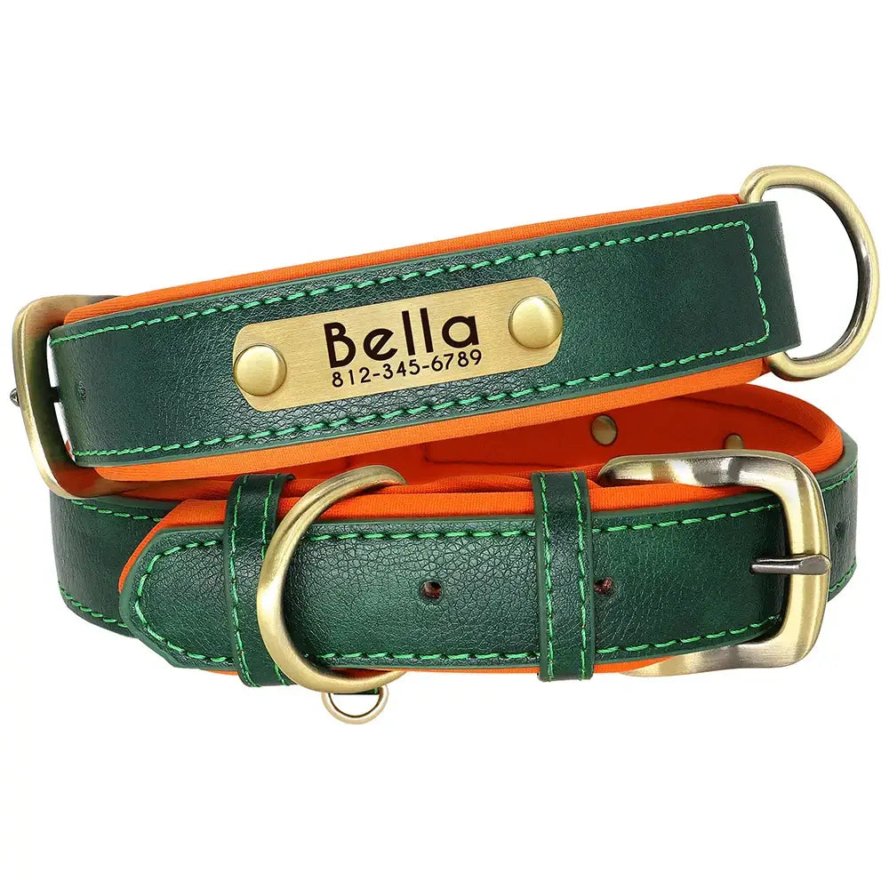 Green leather dog collar with orange lining and a personalized brass nameplate reading ’Bella’.