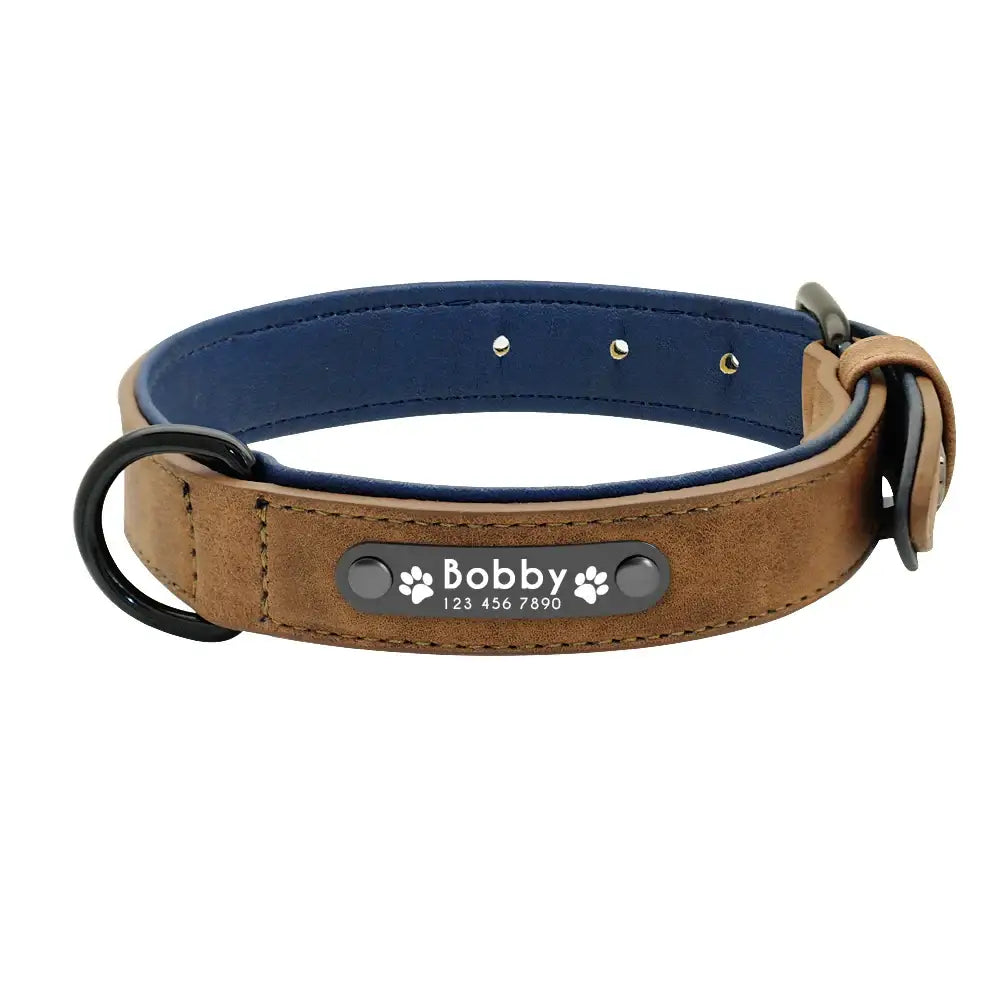 Leather dog collar with a personalized metal nameplate reading ’Bobby’.