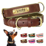 Personalized Leather Dog Collar with Engraved Nameplate - Vignette | DoggyElite