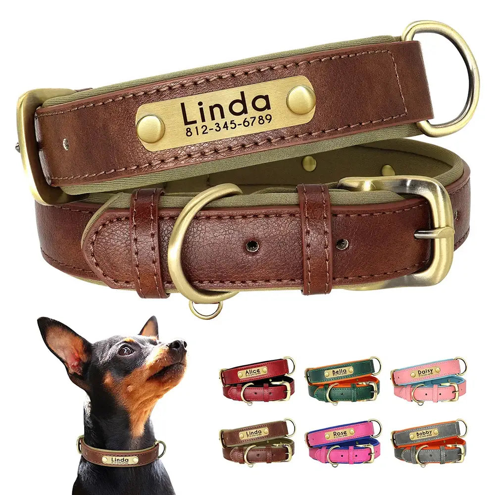 Personalized leather dog collar with a brass nameplate engraved ’Linda’.