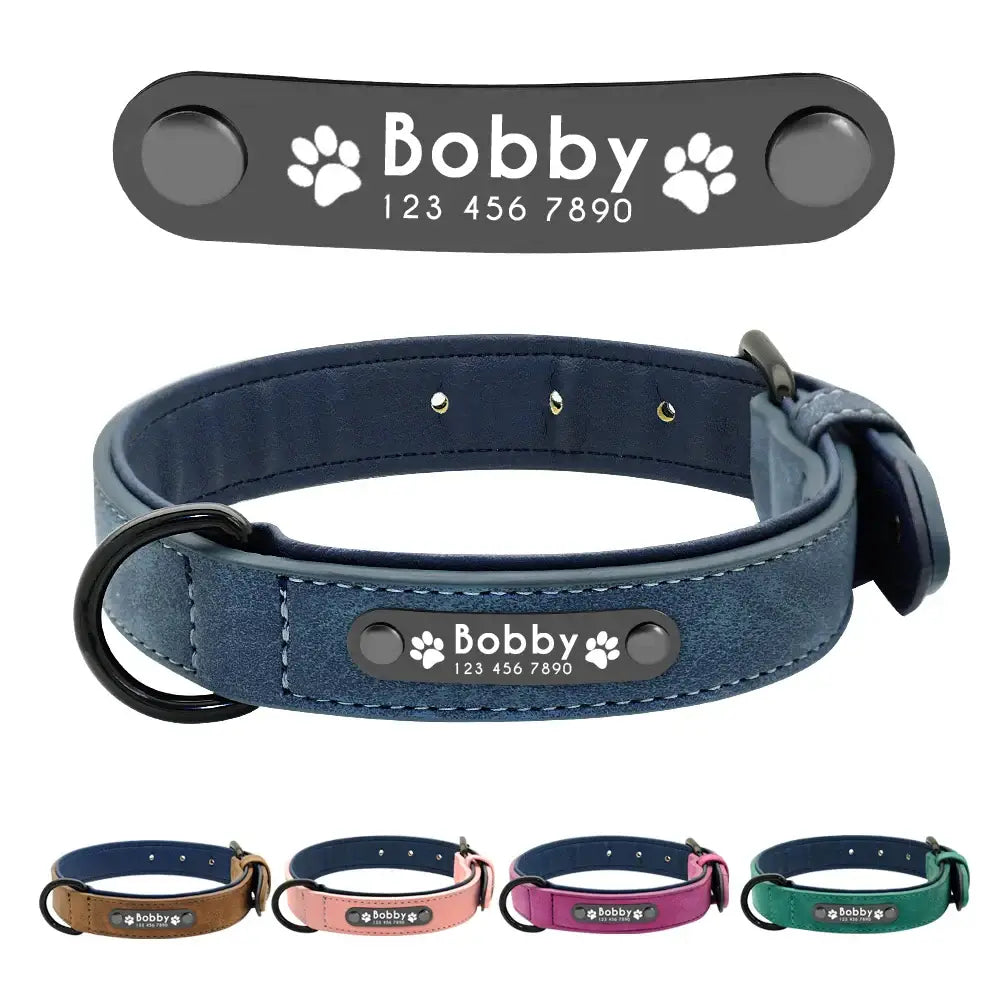 Personalized leather dog collar with an engraved nameplate.