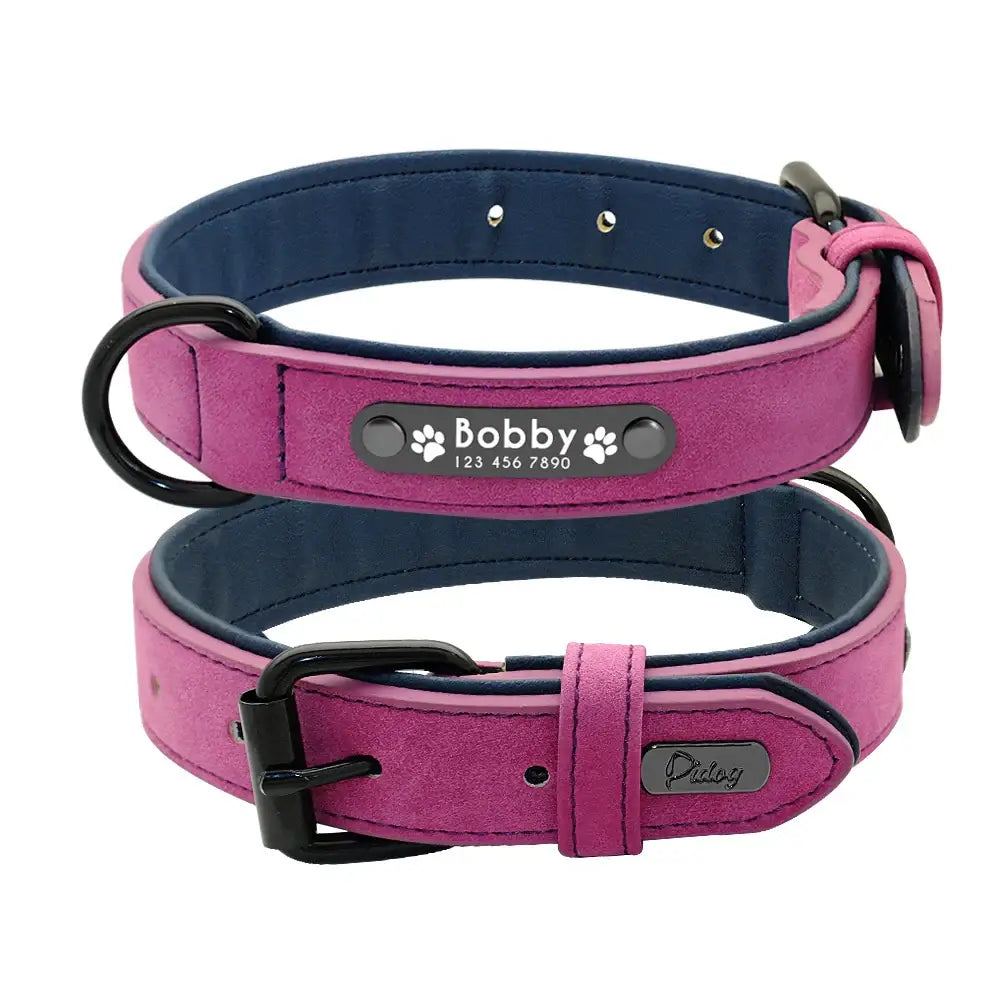 Pink and blue leather dog collar with a personalized name tag.