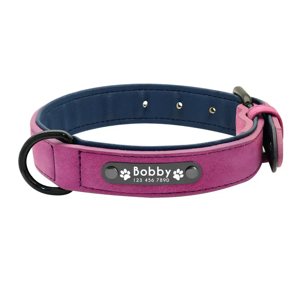 Pink and blue dog collar with a personalized name tag.