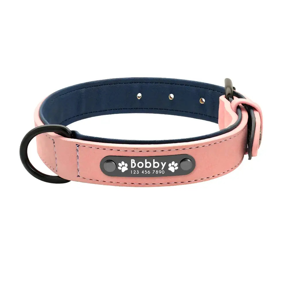 Pink leather dog collar with a personalized name tag reading ’Bobby’.