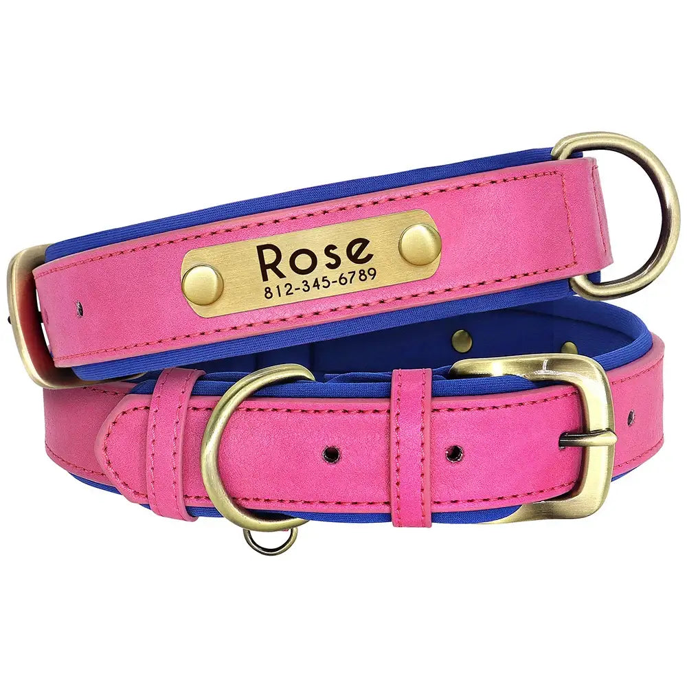 Pink leather dog collar with a personalized name plate reading ’Rose’.