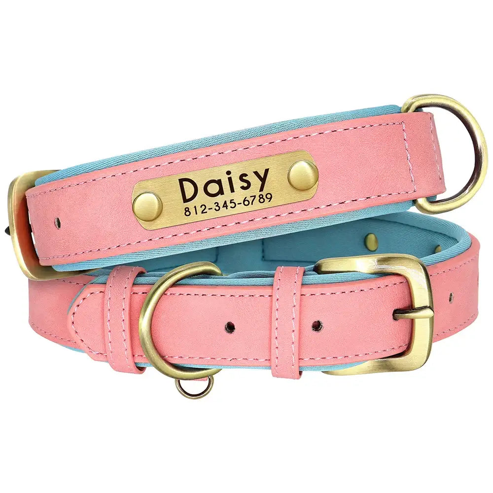 Pink leather dog collar with a personalized nameplate and blue inner lining.