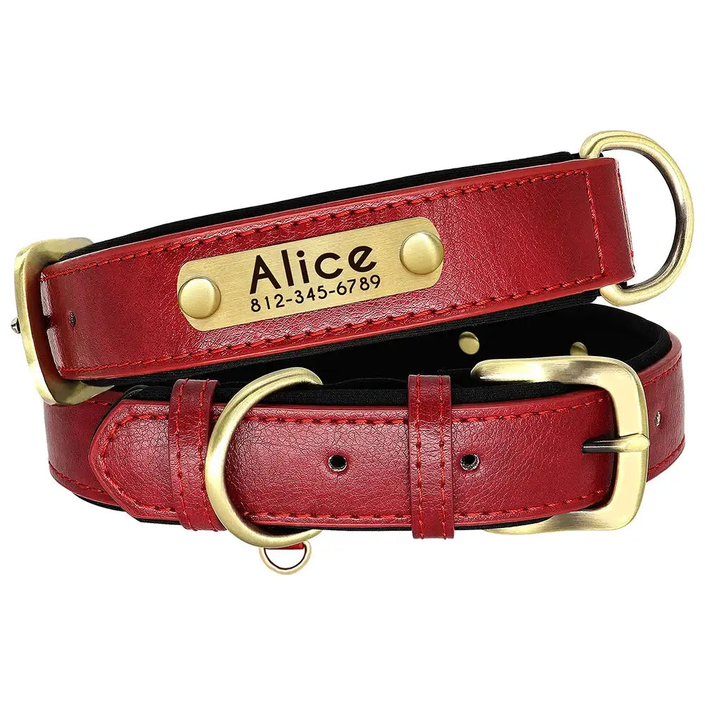 Red leather dog collar with a personalized nameplate and gold-tone hardware.