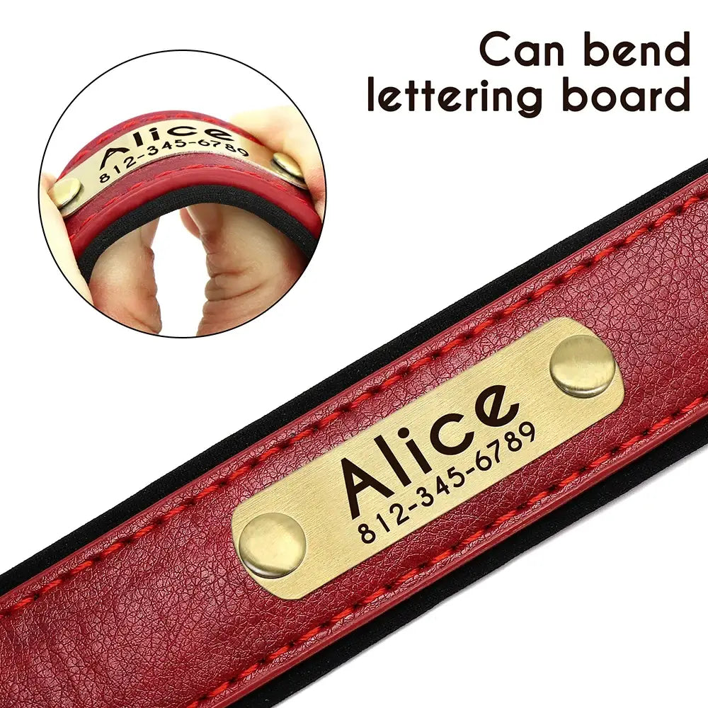 Red leather collar with a customizable gold nameplate.