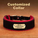 Personalized Leather Dog Collar with Name and Phone Number - Vignette | DoggyElite