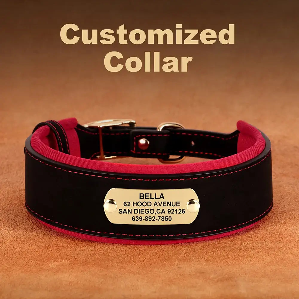 Customized black and red dog collar with an engraved metal identification tag.