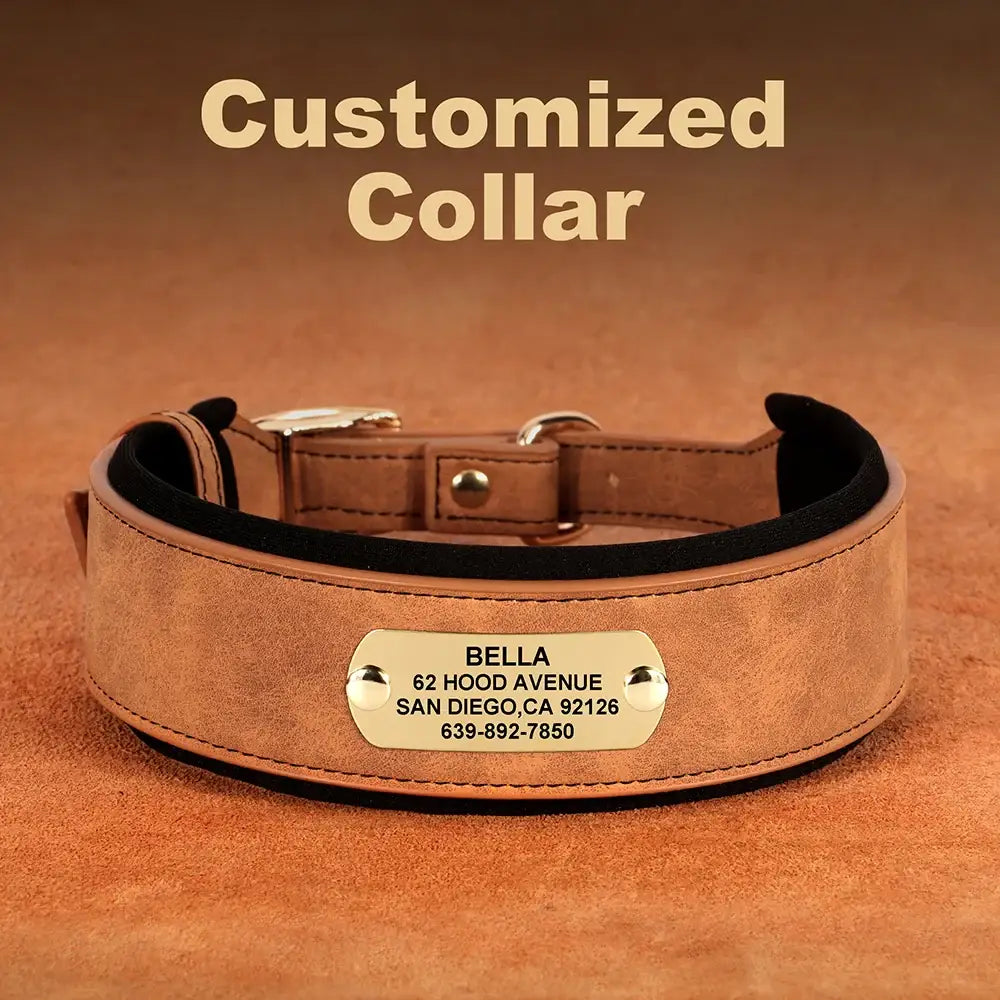 Customized leather dog collar with an engraved metal nameplate.