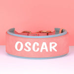 Personalized Leather Dog Collar with Name and Phone Number - Vignette | DoggyElite