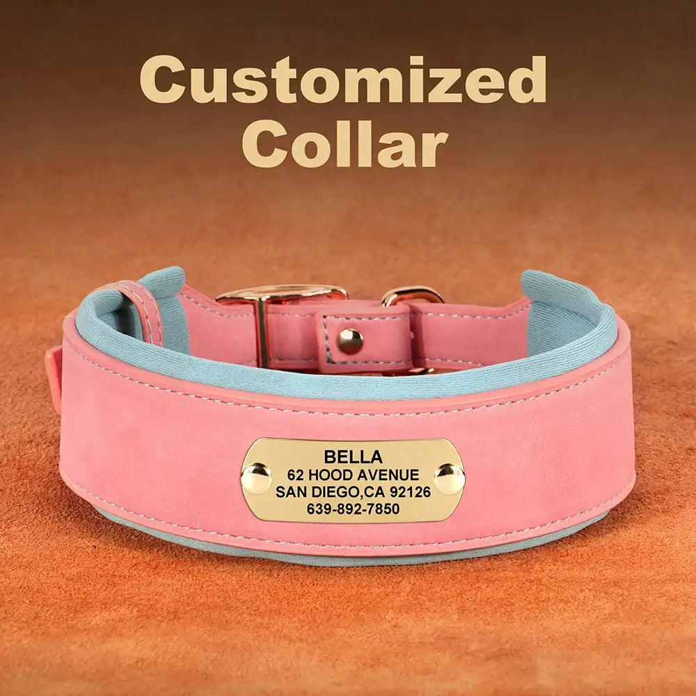 Pink and blue customized dog collar with an engraved identification tag.