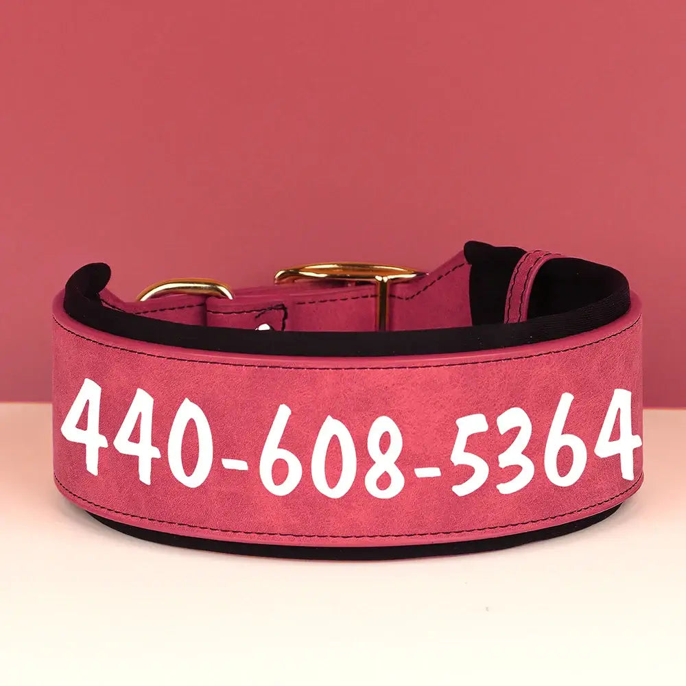 Pink dog collar with a phone number printed on it.