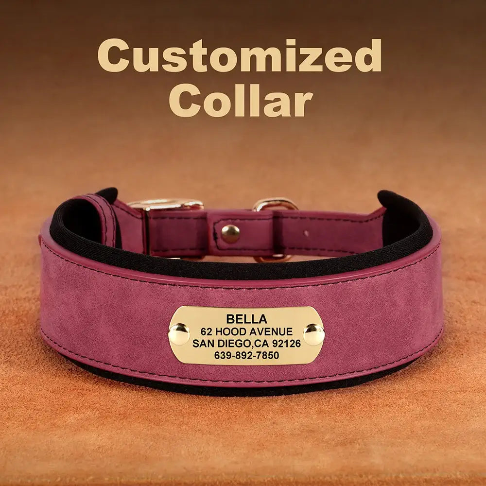 Purple leather dog collar with a customized metal nameplate.