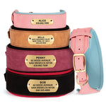 Personalized Leather Dog Collar with Name and Phone Number - Vignette | DoggyElite