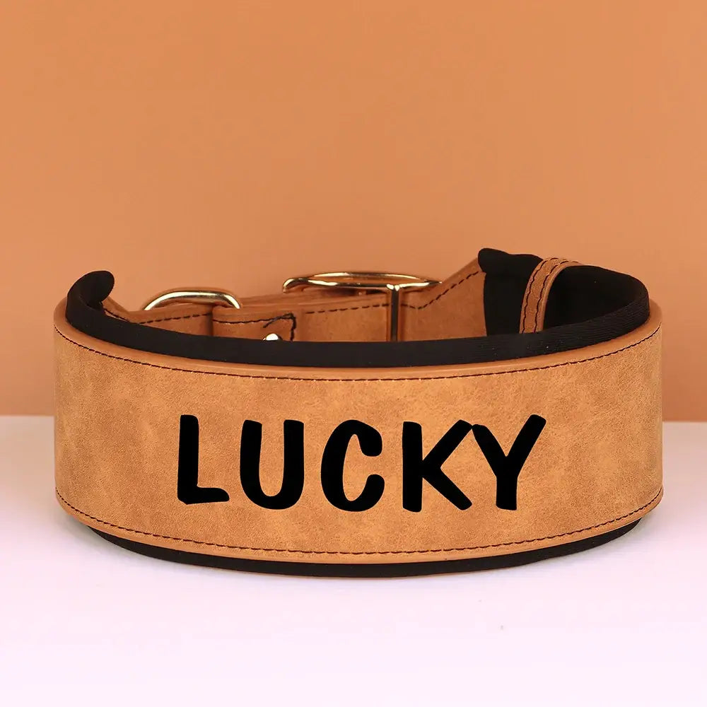 Tan leather dog collar with ’LUCKY’ written in black letters.