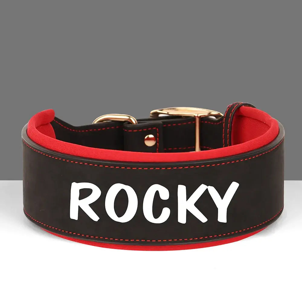 Wide leather dog collar with ’ROCKY’ printed on it, featuring black and red colors and a metal buckle.