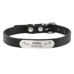 Personalized Leather Dog Collars - Vignette | DoggyElite