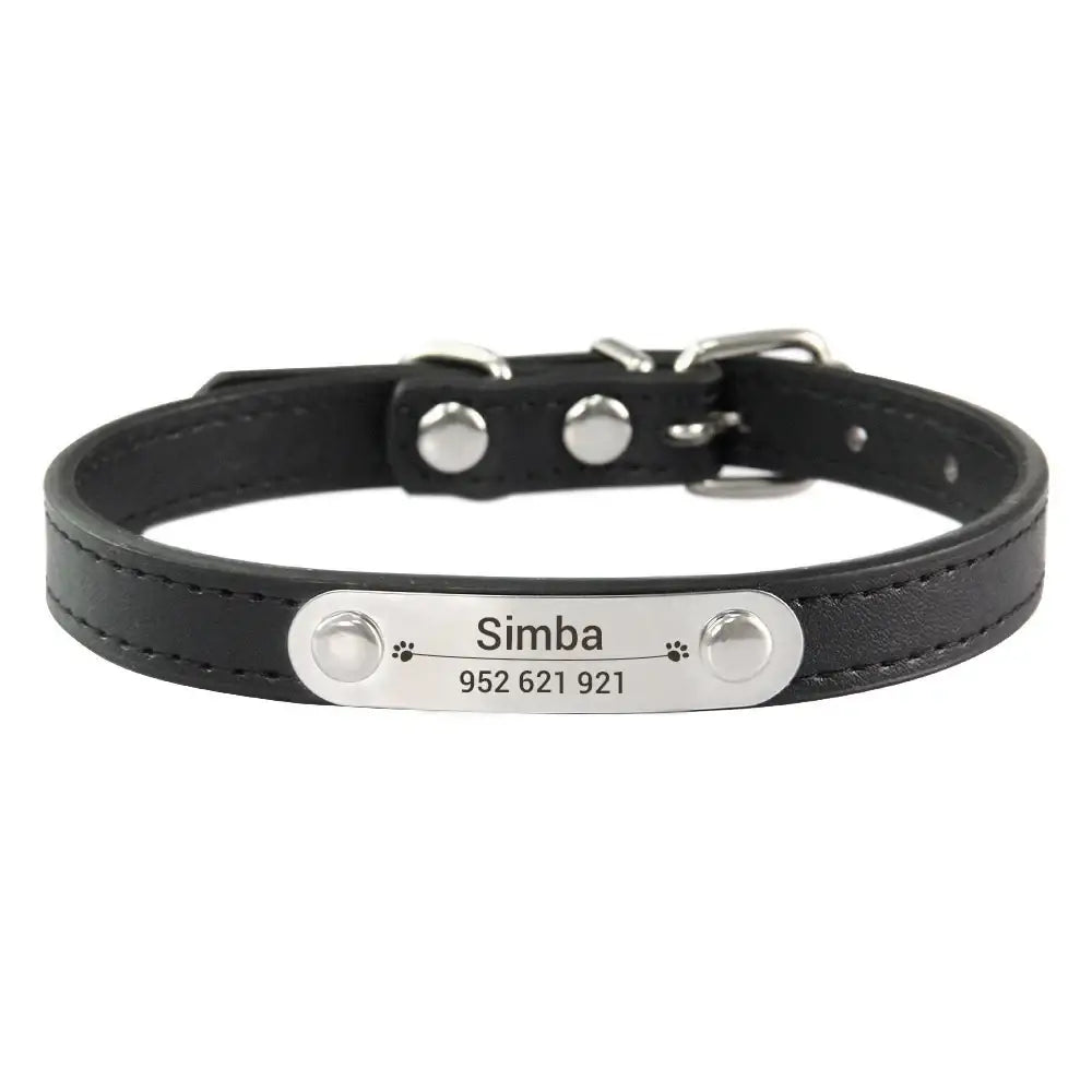 Black leather dog collar with a personalized metal nameplate.