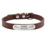 Personalized Leather Dog Collars - Vignette | DoggyElite