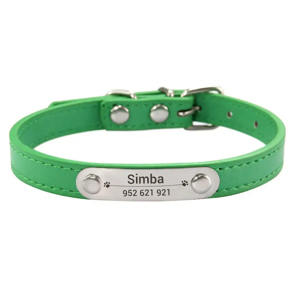 Green leather dog collar with a personalized metal nameplate.