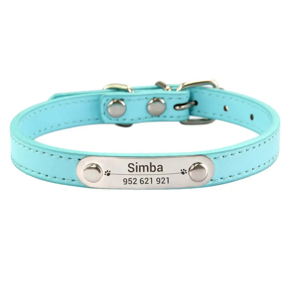 Light blue leather dog collar with a personalized metal nameplate.