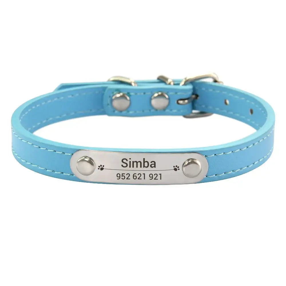 Light blue leather dog collar with a personalized metal nameplate.