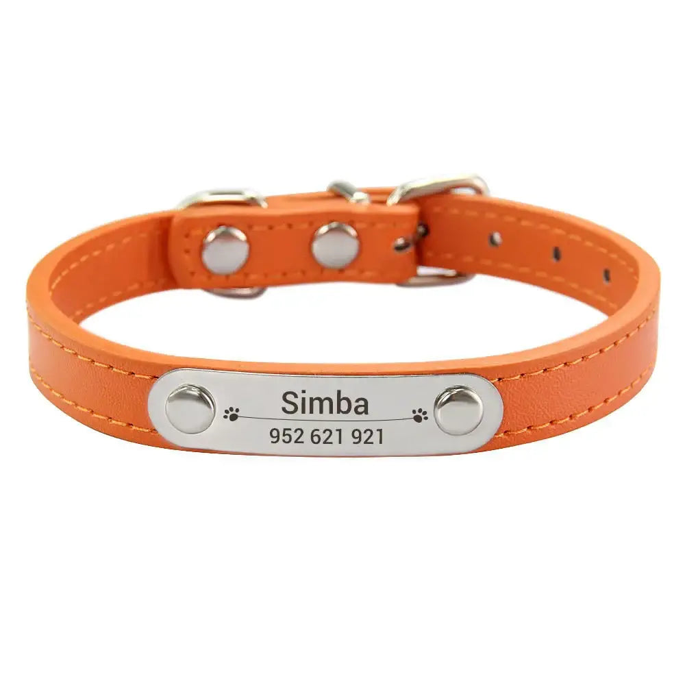 Orange leather dog collar with a metal nameplate and studs.