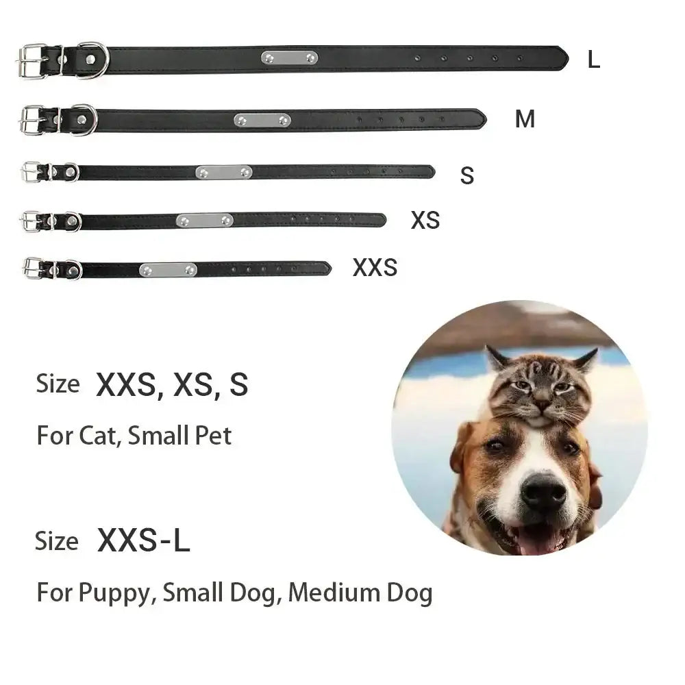 Pet collars in various sizes ranging from XXS to L.