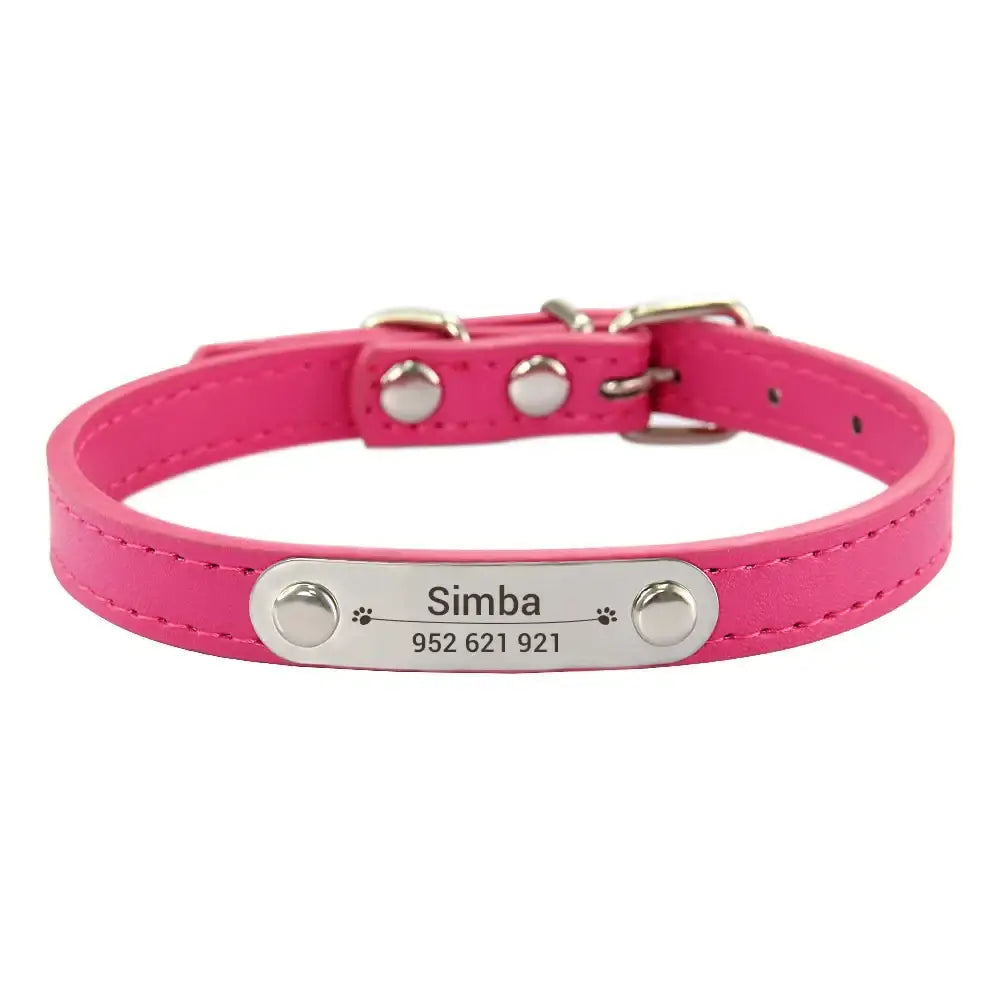 Pink leather dog collar with a personalized metal nameplate.