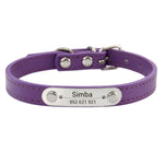 Personalized Leather Dog Collars - Vignette | DoggyElite