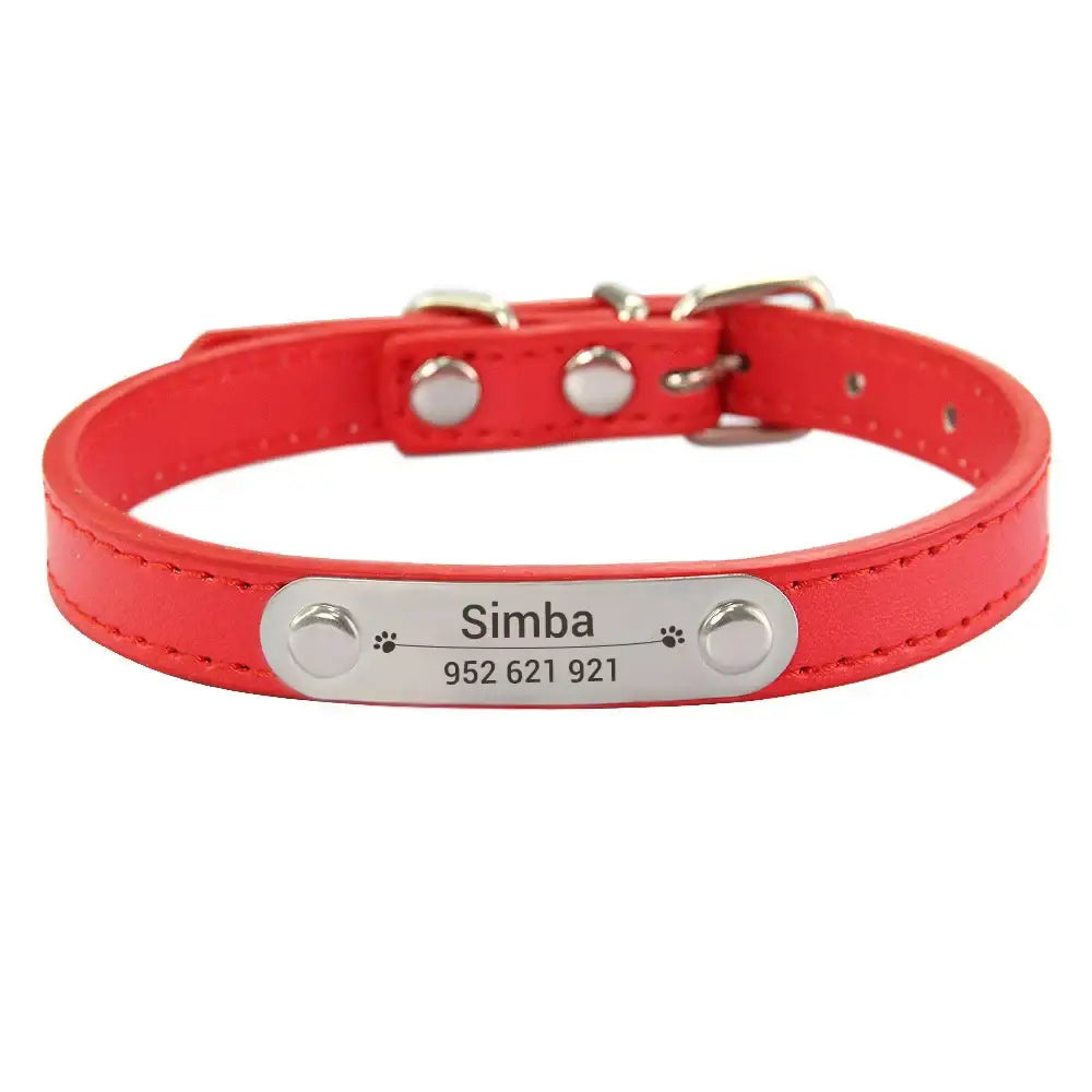 Red leather dog collar with a metal nameplate engraved ’Simba’ and a phone number.