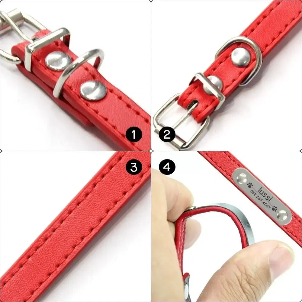 Red leather dog collar with metal buckle and hardware.