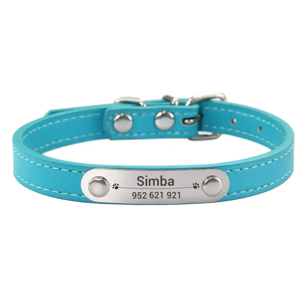 Turquoise leather dog collar with a personalized metal nameplate.